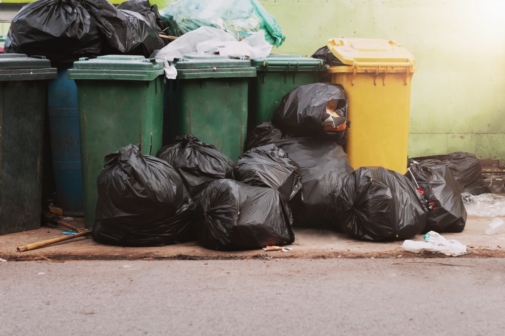 Waste Clearance