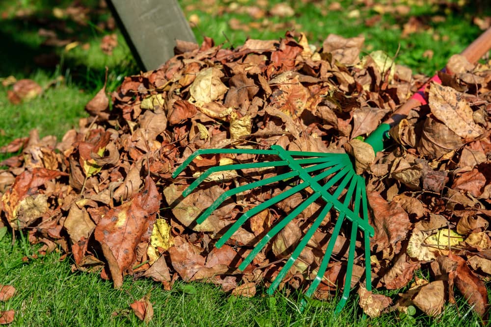 garden waste removal