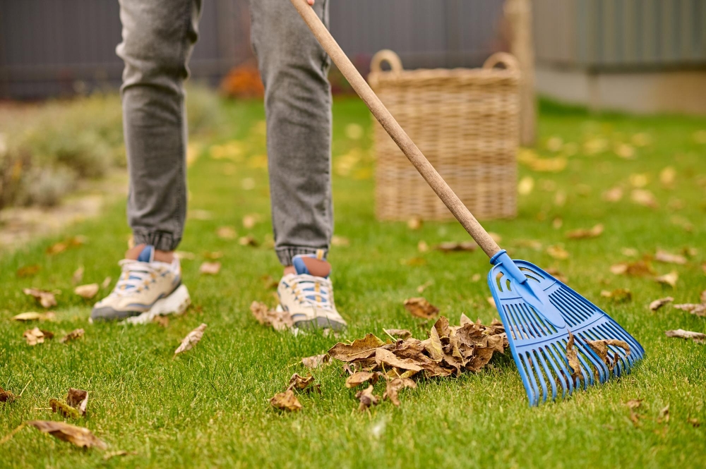 Garden Clearance
